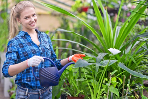Gardening team carrying out scheduled outdoor maintenance