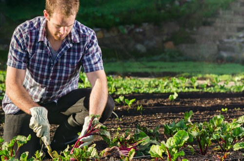 Gardeners Peckham using sustainable recycling methods for garden waste