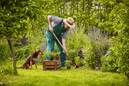 Professional lawn mowing service in Peckham