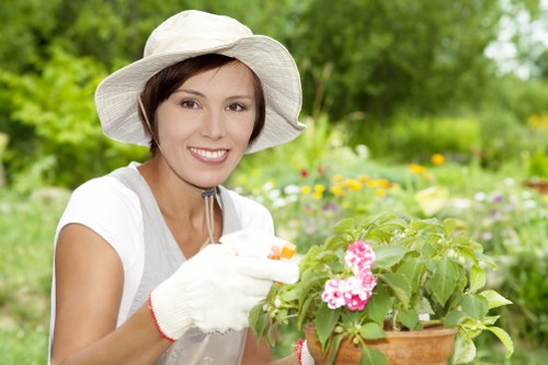 Image representing keyboard navigation for local garden services