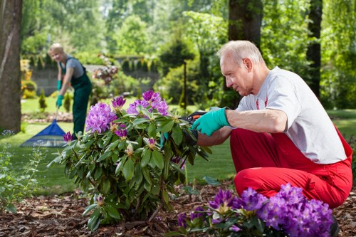 Professional Peckham gardening services for lawn and plant care