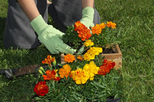 Peckham garden care focused on structure and planting