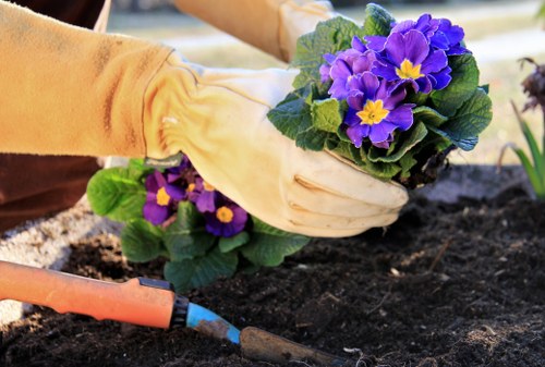 Accessible Peckham gardening content and layout concept