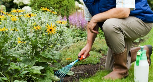 Healthy trimmed grass in a Peckham outdoor space