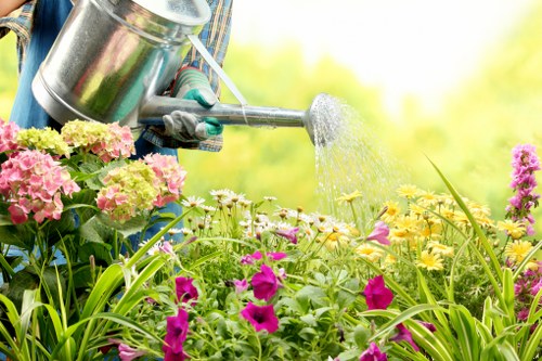 Seasonal garden maintenance in Peckham with fresh planting
