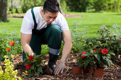 Local gardening service in Peckham improving a residential garden