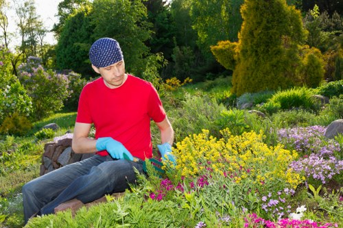 Seasonal hedge trimming in a London garden