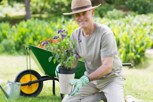 Regular mowing and feeding for lawn care in Peckham