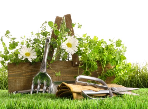 Waste collection and site clearance during a garden service