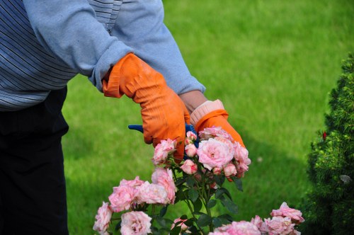 Gardening services in Peckham supporting healthy and attractive landscapes
