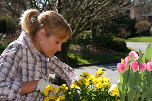 Final stage of a gardening complaints procedure with a clear outcome