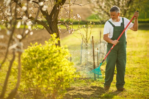 Tidy residential hedge maintenance in Peckham