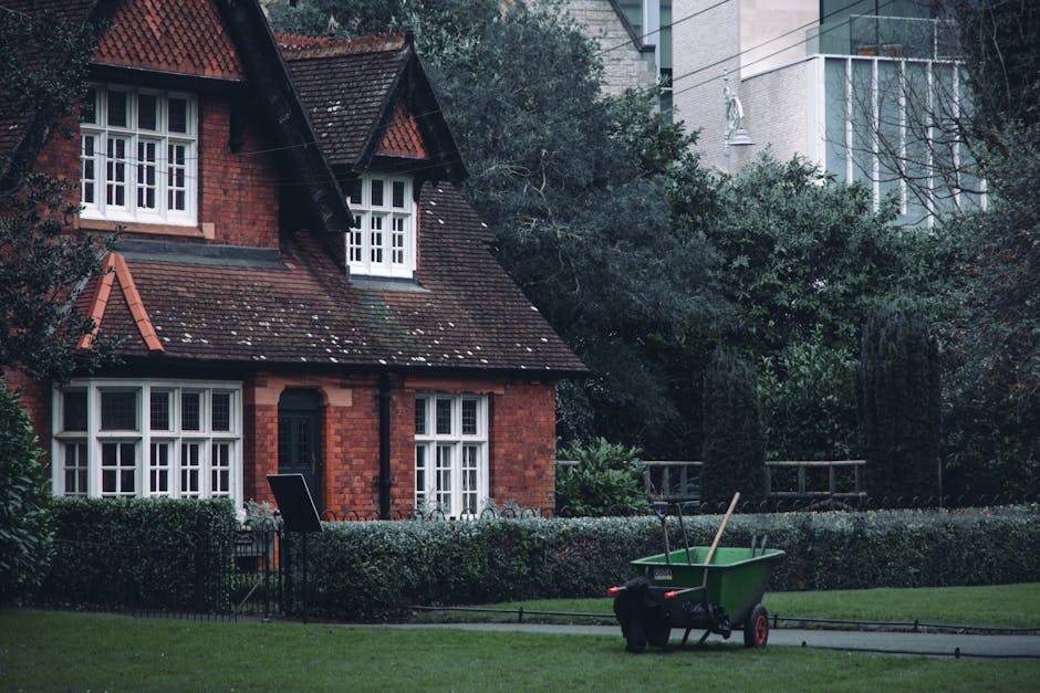 A person wearing a dark long-sleeved shirt and a black cap is trimming a dense, well-maintained hedge using a pair of large pruning shears. The hedge, which forms part of a neatly landscaped garden, f