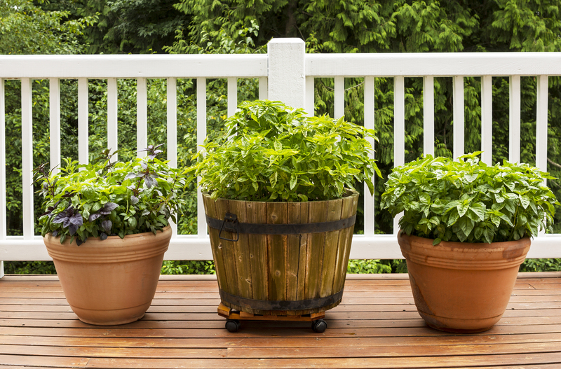 Garden yard