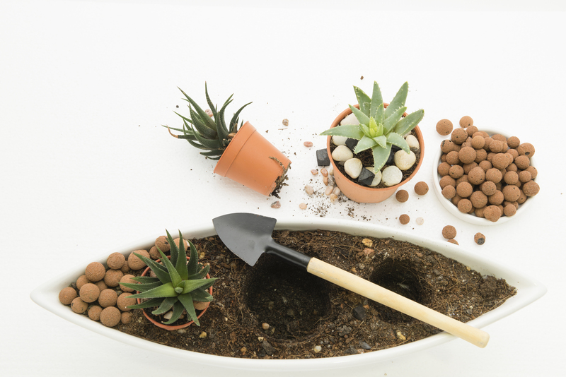 hedge trimming hedge cutting